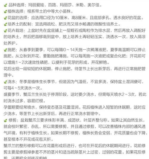 蝎抓兰的养殖技巧和注意事项是什么？