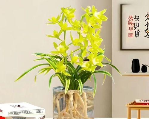 室内开花的花卉有哪些选择？如何在室内培养开花植物？