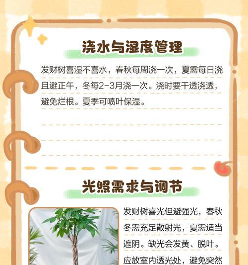 小发财树如何快速长大？养护技巧有哪些？