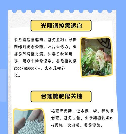 解决树叶干枯的有效措施有哪些？