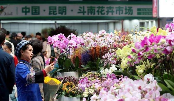 昆明花市特色花卉？昆明花市有哪些必逛之处？