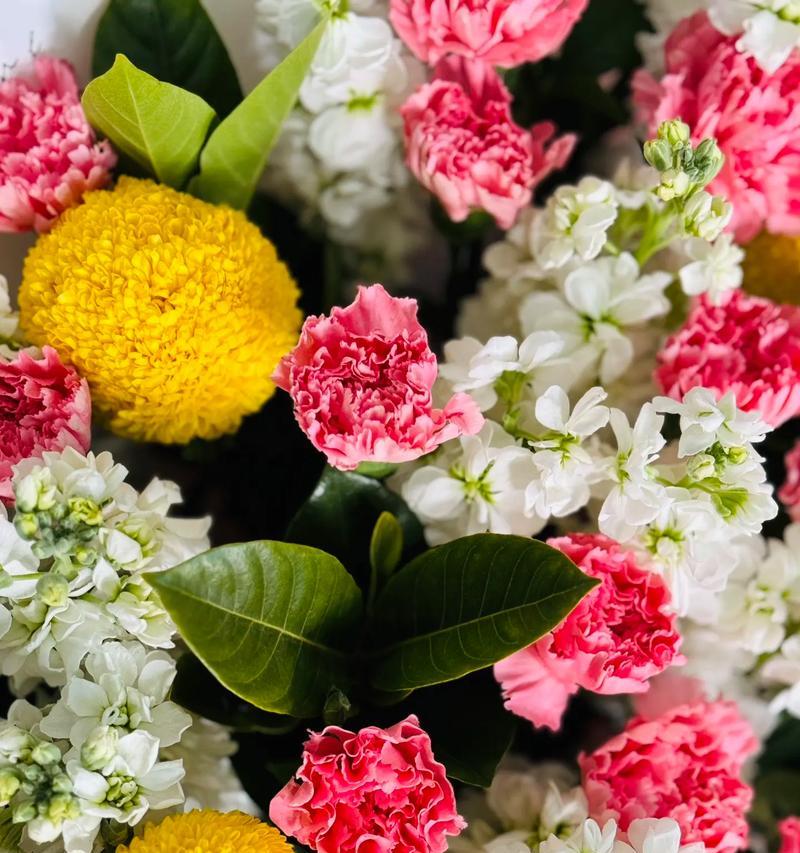 昆明花市特色花卉？昆明花市有哪些必逛之处？