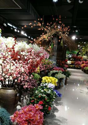 昆明花市特色花卉？昆明花市有哪些必逛之处？