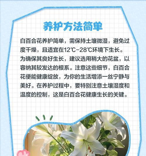百合花有哪些品种名称？各自的特性是什么？