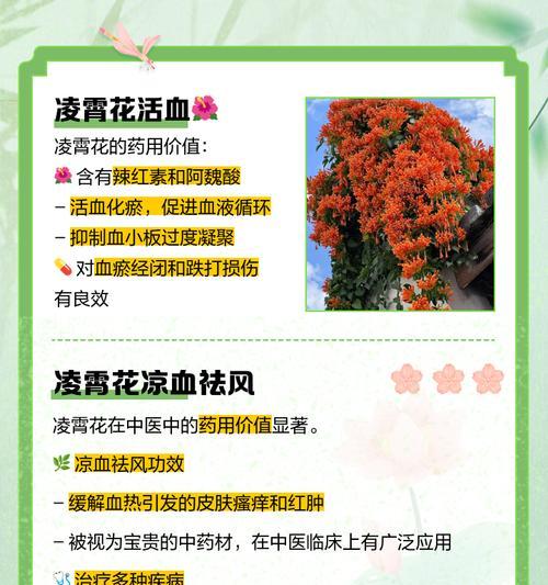 凌霄花的种植步骤是什么？如何保证其生长？