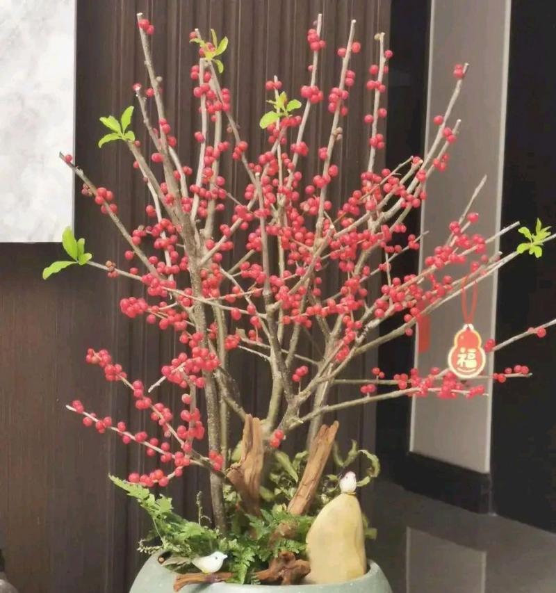 红豆树种植方法是什么？如何种植才能让红豆树茁壮成长？
