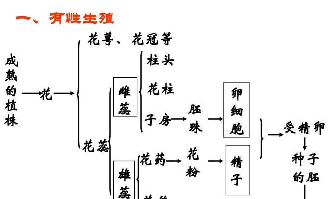 植物有哪些常见的繁殖方法？