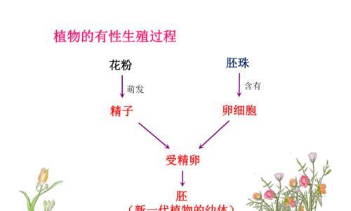 植物有哪些常见的繁殖方法？