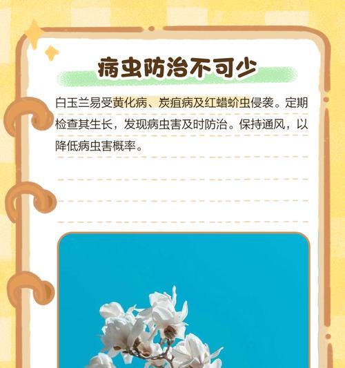 白玉兰的养护方法有哪些？