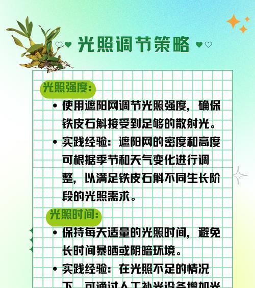石斛怎么养殖？养殖石斛的正确方法是什么？