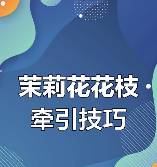 茉莉花冬季养护技巧有哪些？