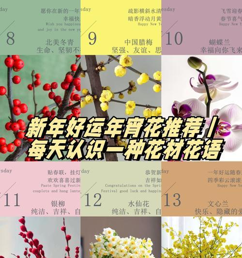 清香木枯叶掉落的解决方法是什么？