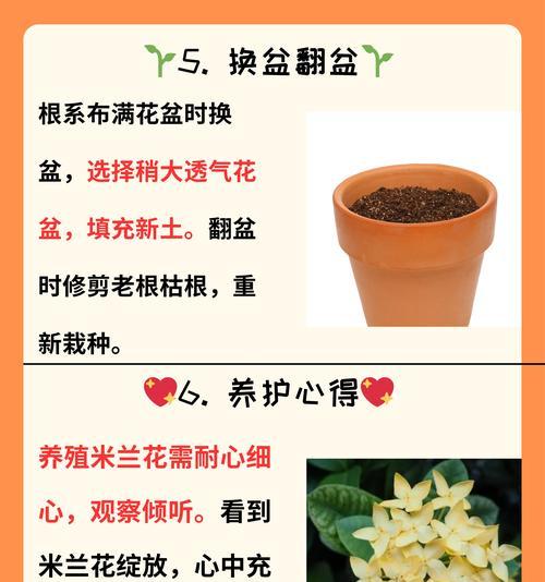 米兰扦插的最佳时期和方法是什么？