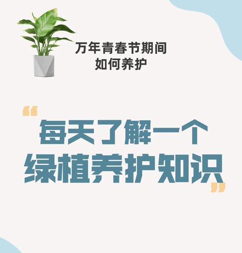 万年青的养护技巧有哪些？如何避免黄叶？