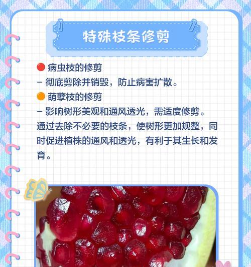盆景石榴修剪技巧有哪些？
