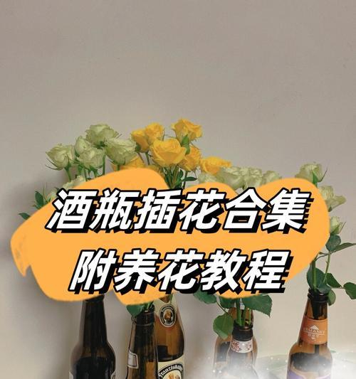 万年松的养护要点是什么？怎样才能养得更茂盛？