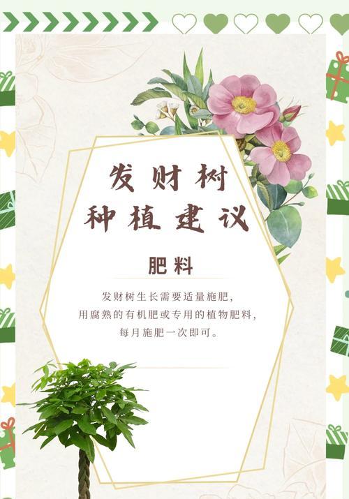 发才树种植的正确步骤是什么？