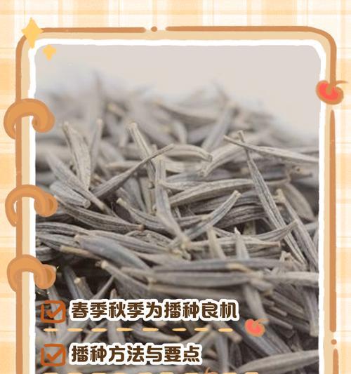 花草种子的最佳播种时间是什么时候？