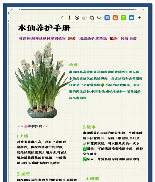 花卉松土的最佳时间和方法是什么？