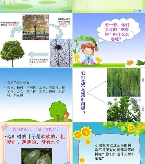 树木落叶的原因和解决方法是什么？
