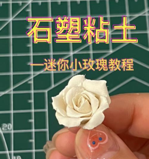 迷你玫瑰花的养护技巧和繁殖方法是什么？