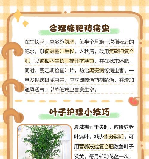 竹子叶子变黄的原因及解决方法是什么？