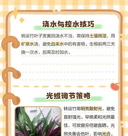 竹子叶子变黄的原因及解决方法是什么？