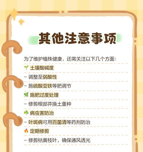 发财树叶子变黄的处理方法是什么？