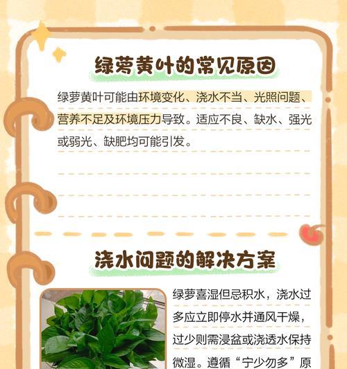 绿萝浇水过多怎么办？如何抢救过湿的绿萝？