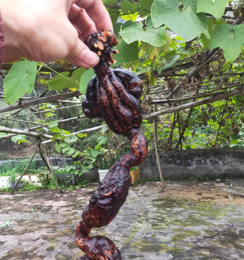 何首乌花什么样子？何首乌花的外观特征有哪些？