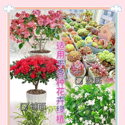 哪些盆栽不能用陶粒？陶粒使用禁忌及替代品推荐？