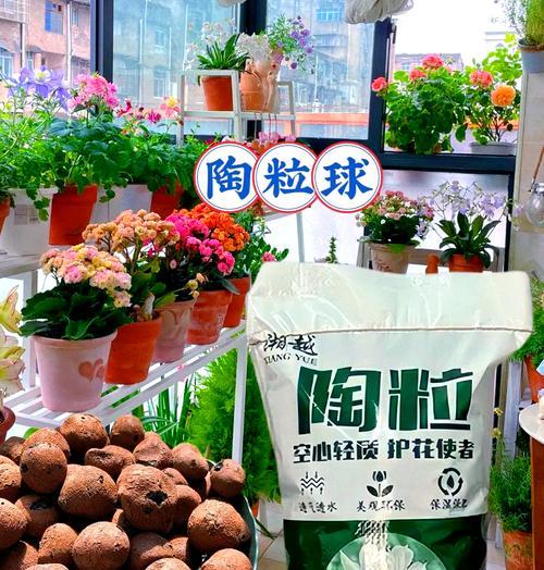 哪些盆栽不能用陶粒？陶粒使用禁忌及替代品推荐？