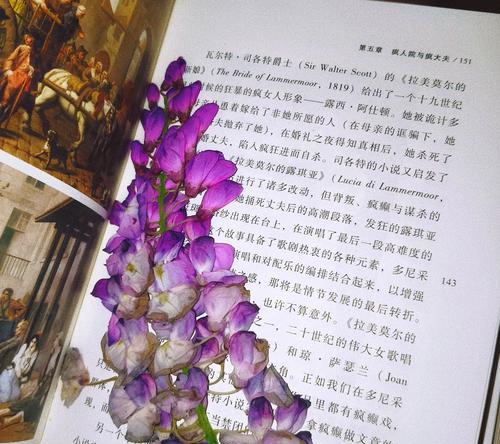 紫藤开花的秘诀和养护技巧是什么？