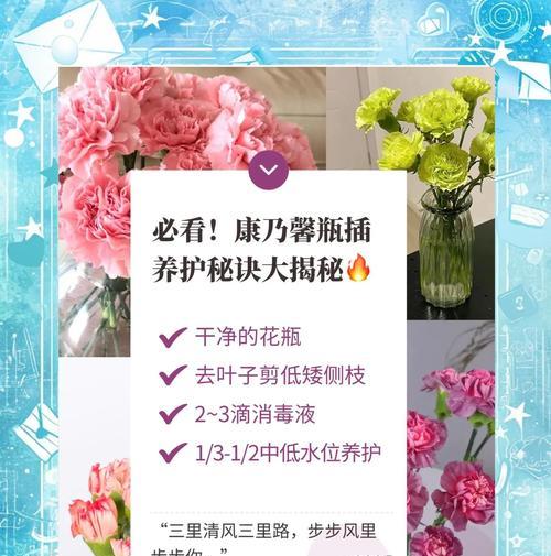 康乃馨的养殖方法有哪些？如何正确浇水和施肥？