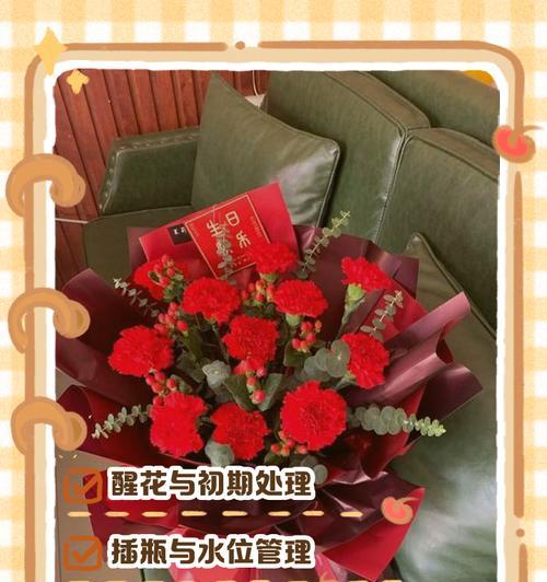 康乃馨的养殖方法有哪些？如何正确浇水和施肥？