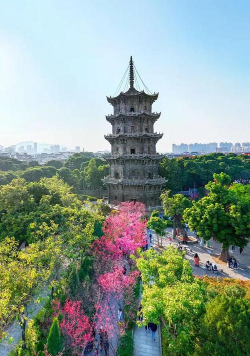 福建特色花卉有哪些？福建花卉市场有哪些亮点？