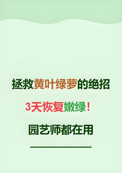 绿萝受冻后的急救措施有哪些？