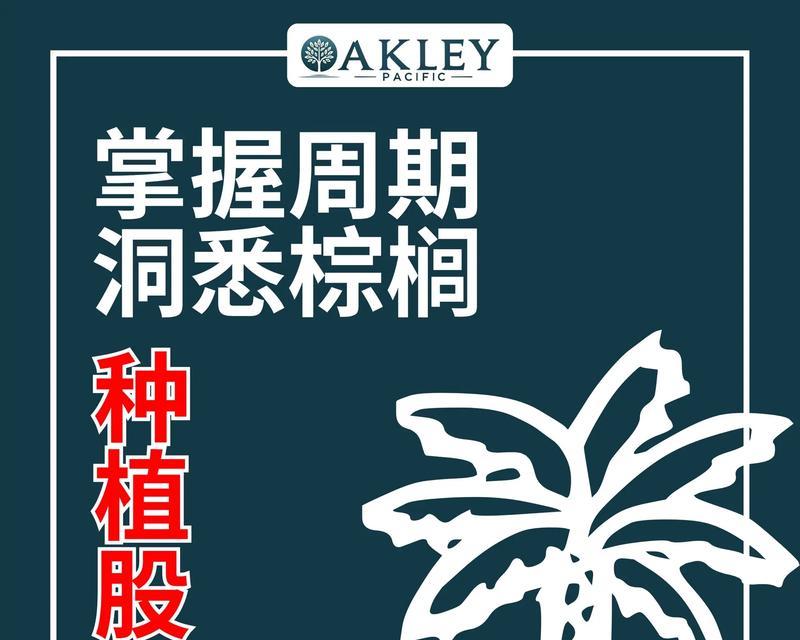 耐寒棕榈有哪些？耐寒棕榈的种植和养护要点是什么？