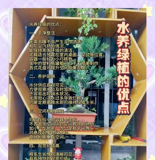 水培绿植的养护方法和常见问题？