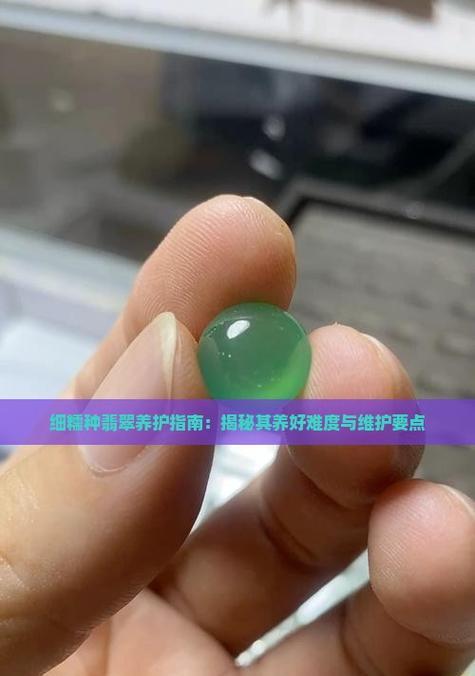 翡翠植物的养护要点是什么？如何正确养护翡翠植物？