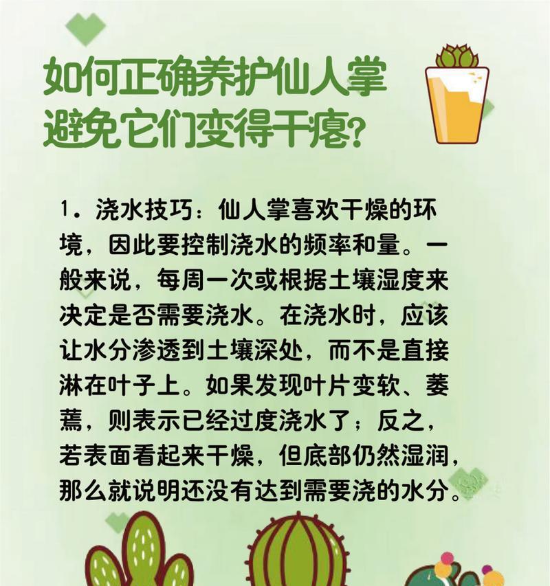 仙人掌有哪些品种？不同品种仙人掌的养护方法是什么？