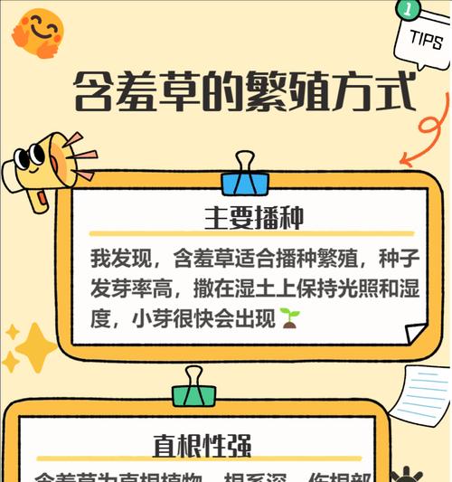 害羞含羞草有什么特点？含羞草的生长习性是什么？