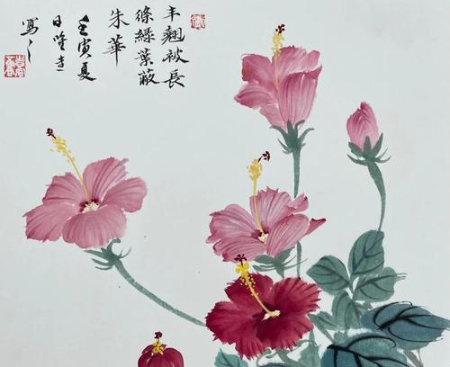 扶桑花的养殖技巧和常见问题解答？