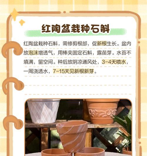 石斛养殖方法有哪些？石斛的日常养护技巧是什么？