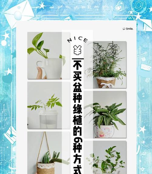 花卉分盆的方法是什么？如何正确进行？