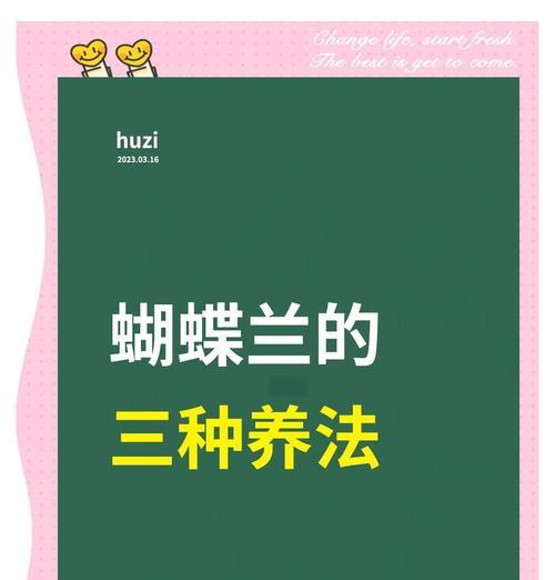 蝴蝶兰养护方法是什么？如何养好蝴蝶兰？