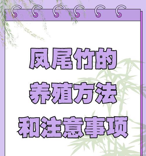 散尾竹的养殖方法有哪些？