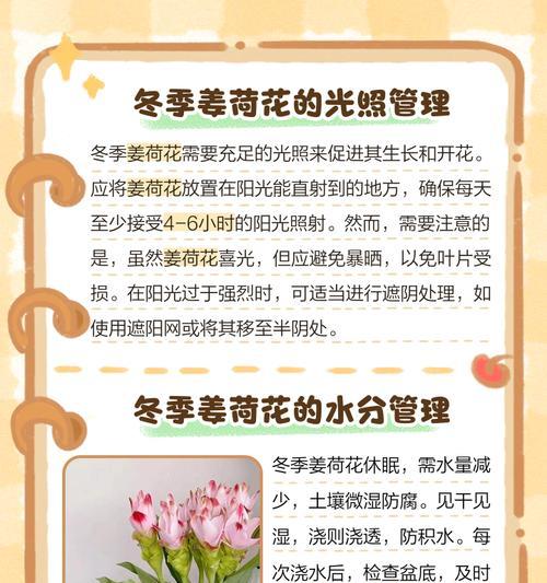 花草怎么样？花草养护与管理技巧！