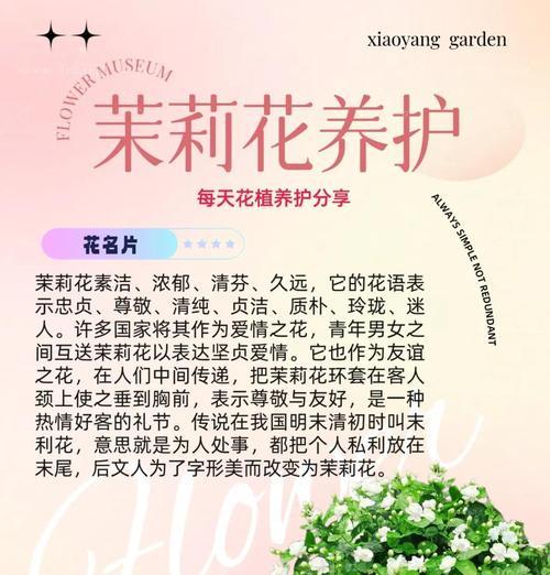 冬季茉莉花的养护技巧是什么？