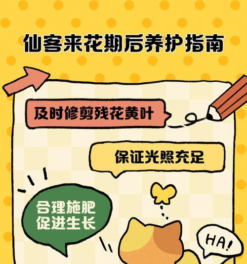 仙客来花的养殖技巧和常见问题解答？